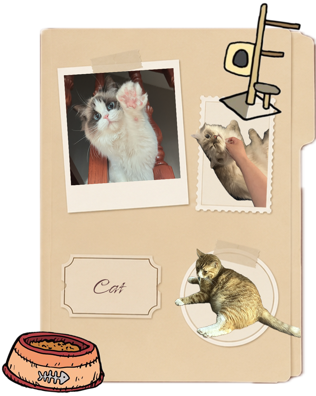 Closed cat photo collection notebook cover